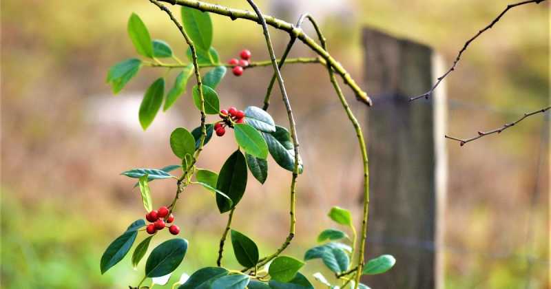 We Are A Blessed Generation