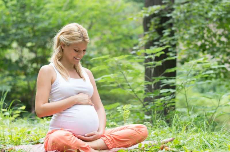 Week 5 Of Pregnancy - Pregnancy Blog