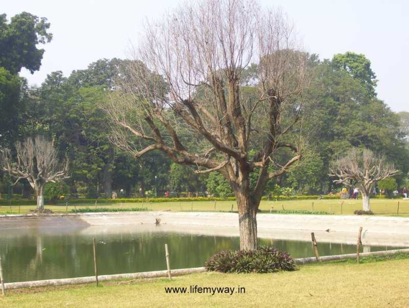 West Bengal Culture Diary! - Life, My Way