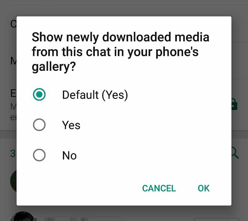 WhatsApp Gallery Update Saves Phone Space - Soonev