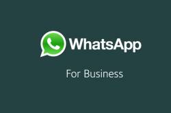 Whatsapp Business App is Here