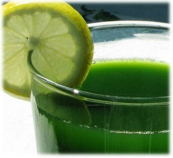 Wheatgrass Lemonade!