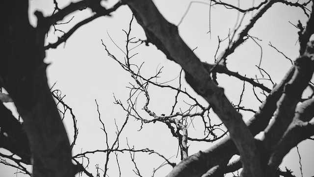 Why Are We So Confused?