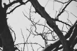 Why are We so Confused?