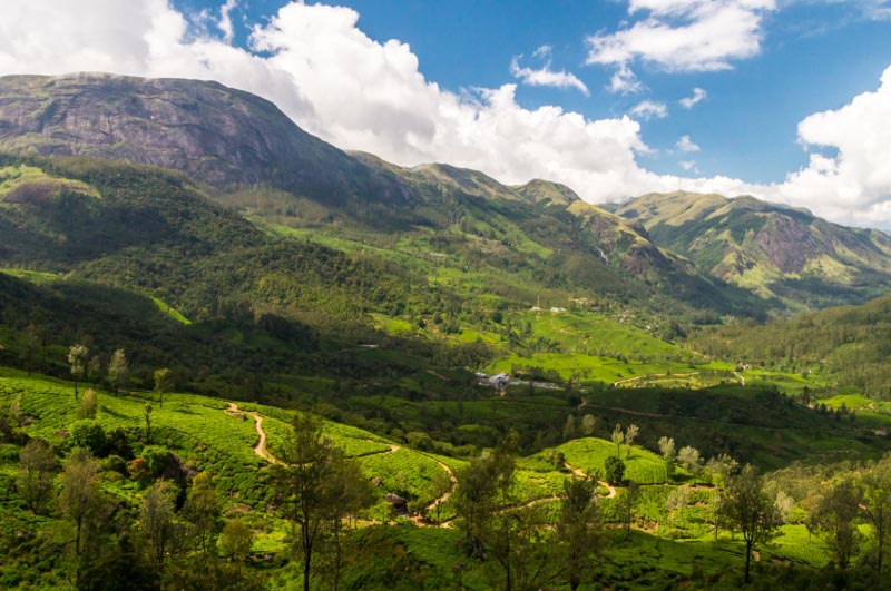 Why Do We Keep Visiting Kerala? - Trekpedition