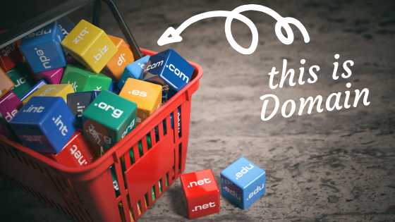 Why Is It Important To Get Your Domain Names Protected By Copyright? - Rahul Yadav - Digital Marketing Consultant & SEO Expert