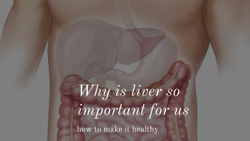 Why Is Liver So Important For Us- How To Make It Healthy? | Guest Post, Health & Fitness Blog Post