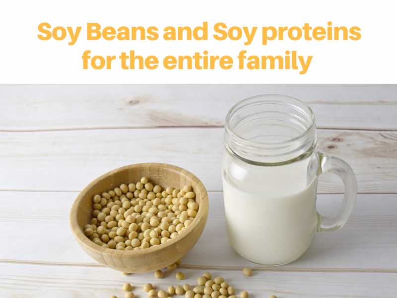 Why Should You Incorporate Soy Proteins In Your Child
