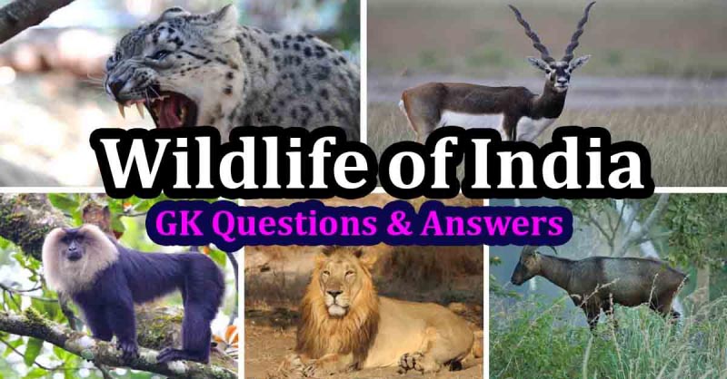 Wildlife Of India - GK Questions And Answers -Part 1