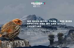 Win a trip to Colombia and discover its beautiful birds! - Exotic Gringo