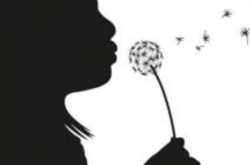 Wishing Continuum(55er)