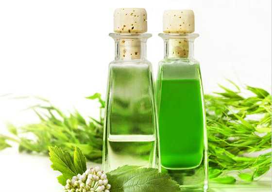 Wonderful Tea Tree Oil Benefits For Hair - Lifestylica