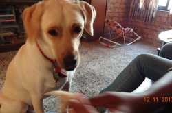 Wordless(?) Wednesday