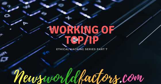 Working Of TCP/IP Protocols-Newsworldfactors