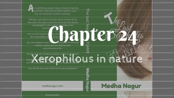 Xerophilous In Nature- Chapter 24- TLSF - Medha Nagur