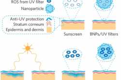 Yales researchers have developed a new type of sunscreen