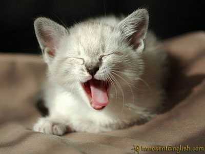 Yawn!!!