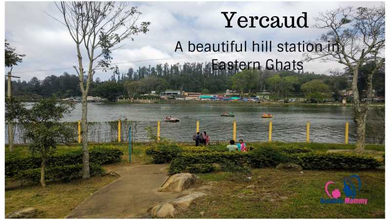 Yercaud - A Hill Station Nestled In Eastern Ghats - Kreativemommy