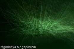 You Can’t Beat Nature for True Beauty