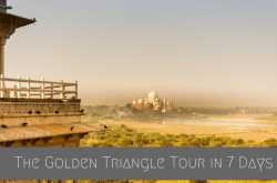 Your access to this site has been limited