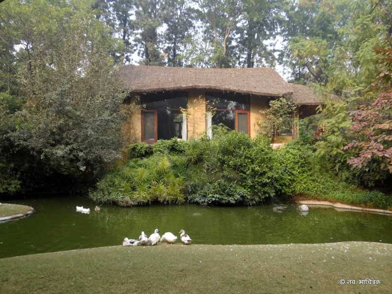 Zorba The Budhha @Ghitorni, Delhi