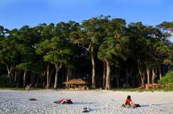 andamantourpackages.com&nbsp;-&nbsp; Resources and Information.