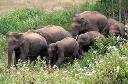 ecosensorium.org&nbsp;-&nbspThis website is for sale!&nbsp;-&nbsp Resources and Information.