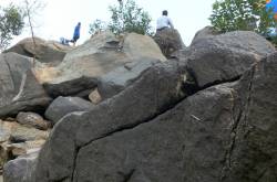 ecosensorium.org&nbsp;-&nbspThis website is for sale!&nbsp;-&nbsp Resources and Information.