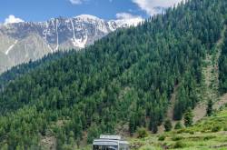 The Road Less Rushed: Why Smart Bus Booking Can Make or Break Your Journey