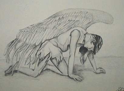 Wings Of A Broken Angel !