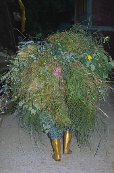 Women Carrying Grass | Manali